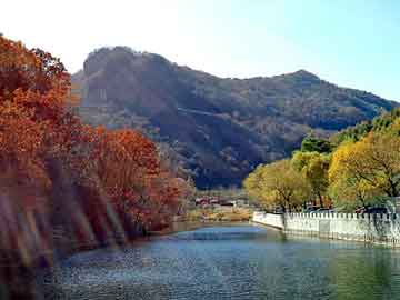 虎骨酒价格，大秦帝国第二部纵横